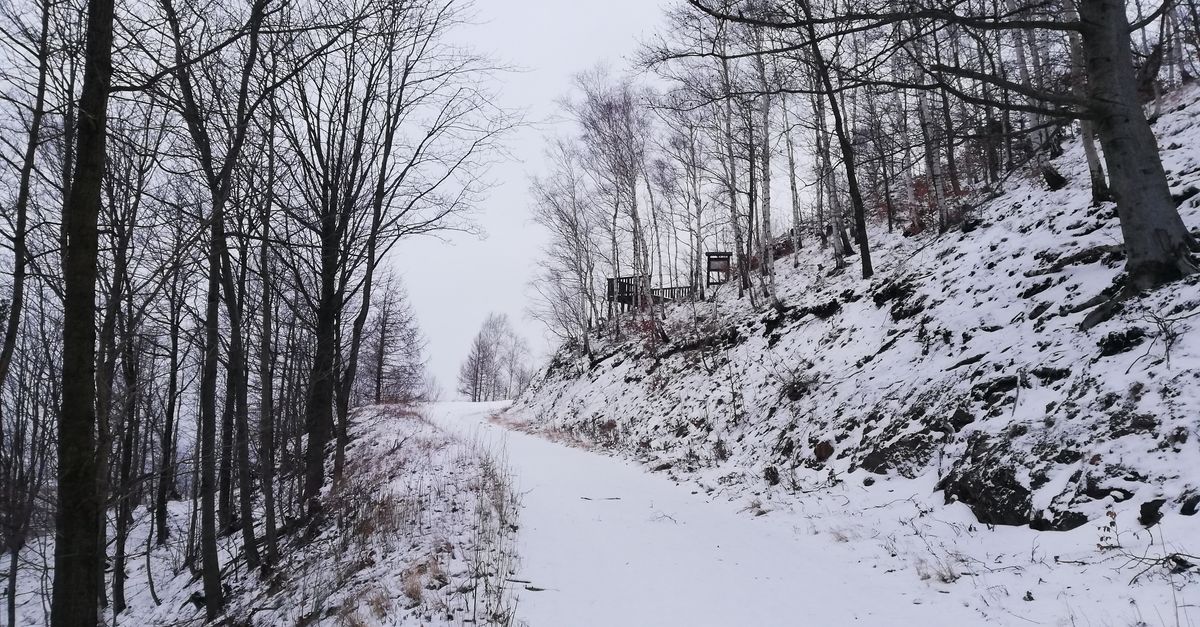 découvrez les conditions de neige actuelles pour planifier au mieux vos activités hivernales, avec des informations précises sur l'enneigement, la qualité de la neige et les prévisions météo.