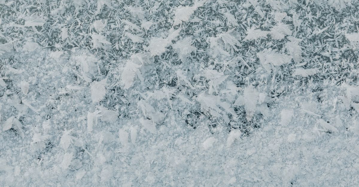 découvrez les différents types de neige, leurs caractéristiques et comment ils influencent les activités hivernales.