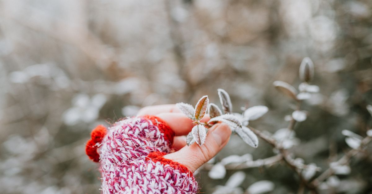 découvrez des conseils efficaces pour prévenir les engelures et protéger votre peau du froid extrême.