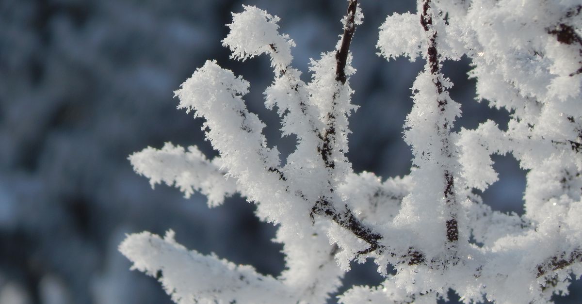 découvrez des conseils essentiels pour prévenir les engelures et protéger votre peau du froid intense efficacement.