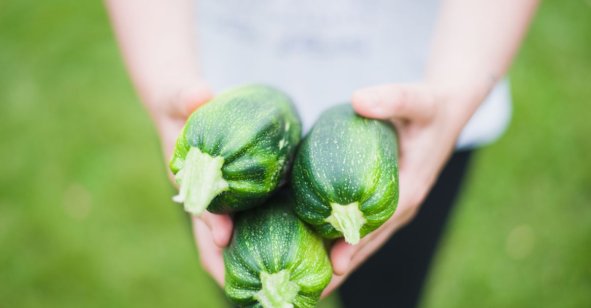 découvrez des conseils et informations essentiels sur la nutrition pour adopter une alimentation saine et équilibrée au quotidien.