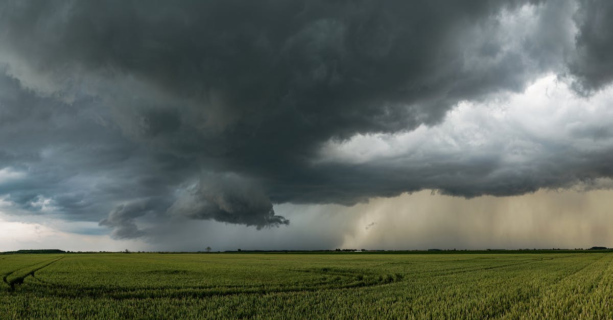 consultez les prévisions météo précises et en temps réel pour planifier vos journées en toute sérénité.