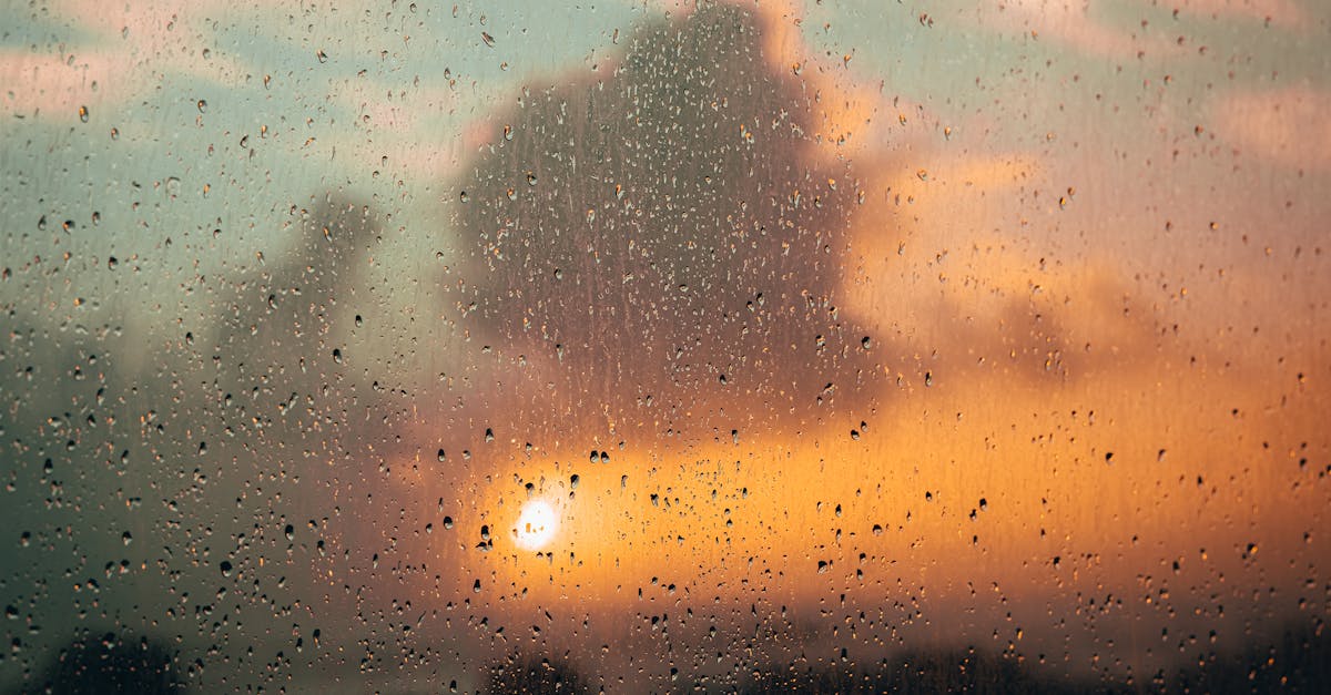 consultez les prévisions météo en temps réel pour votre région et restez informé des conditions climatiques à venir.