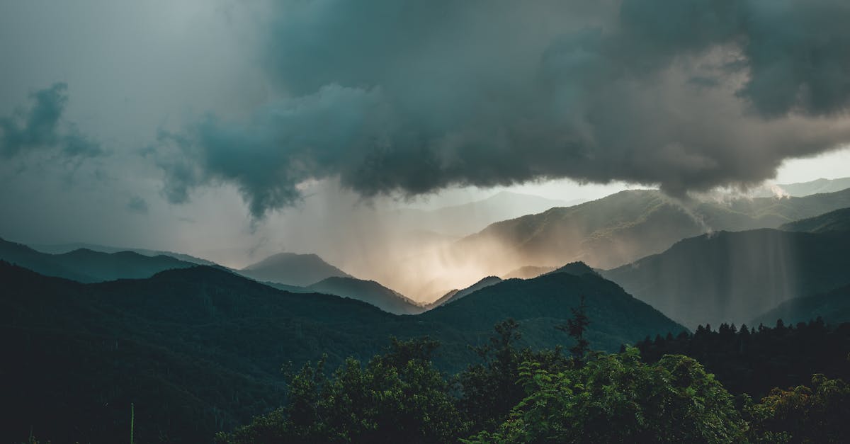 découvrez les meilleures stratégies d'adaptation aux changements météorologiques pour protéger votre environnement et améliorer votre qualité de vie.