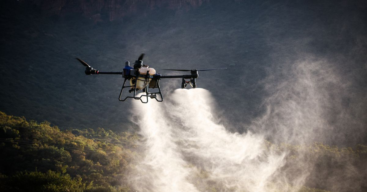 gestion des fractures dans les zones montagneuses isolées : techniques adaptées, soins d'urgence et conseils pratiques pour une prise en charge efficace en milieu difficile.