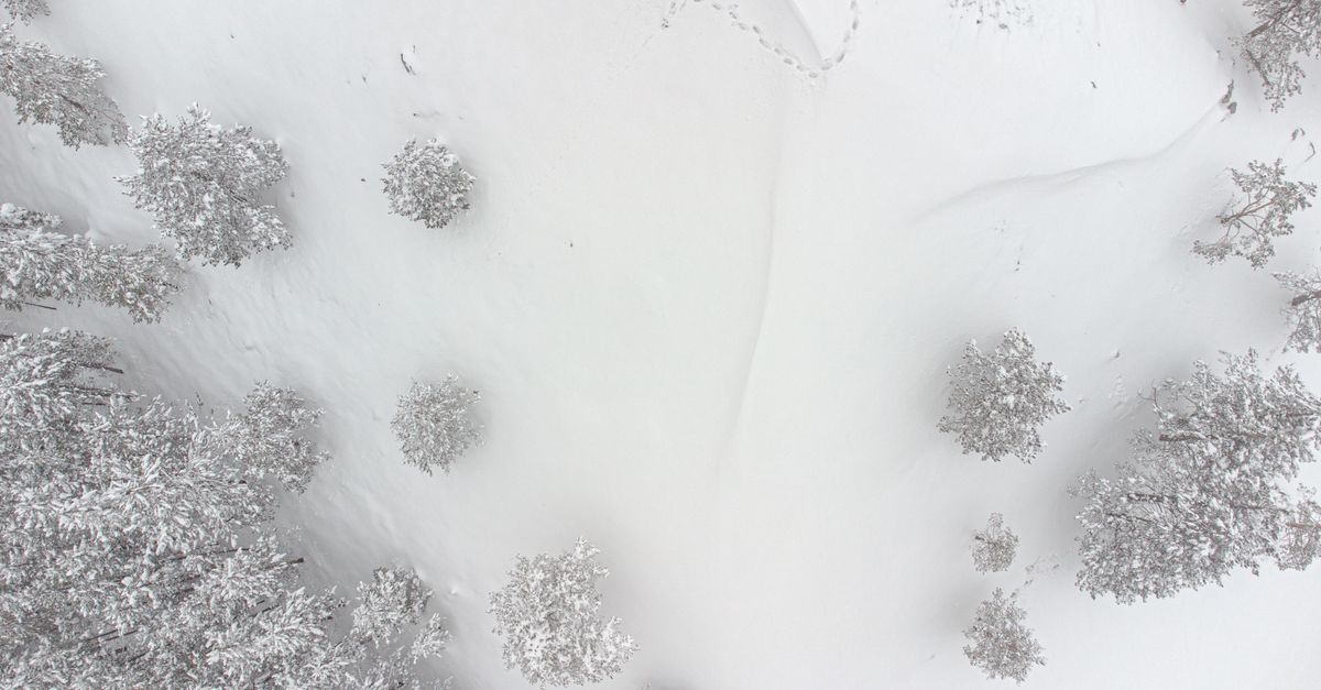 évaluation de la stabilité de la neige fraîche pour assurer la sécurité en montagne et prévenir les risques d'avalanches.