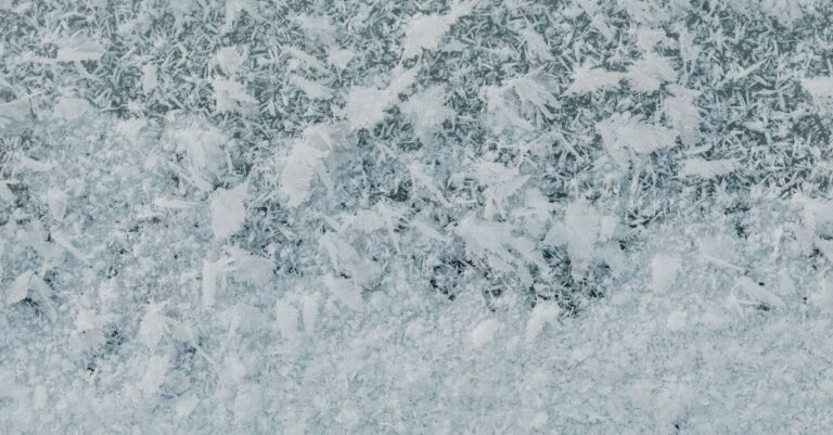 découvrez les différents types de neige, leurs caractéristiques et comment ils influencent les activités hivernales.