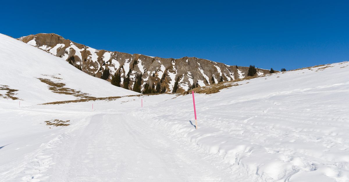 découvrez tout sur les balises avalanche : comment elles fonctionnent, pourquoi elles sont essentielles pour la sécurité en montagne et comment choisir le meilleur modèle pour vos activités hivernales.