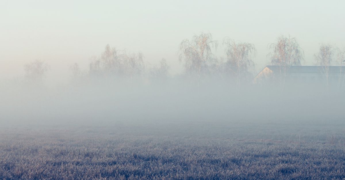 gestion efficace du froid et de l'humidité pour assurer confort et protection optimale dans tous les environnements.