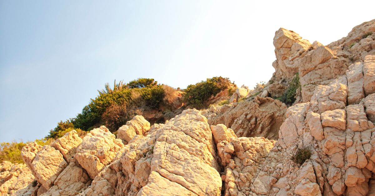 découvrez naturalanchors, votre solution naturelle et efficace pour une fixation durable et respectueuse de l'environnement.