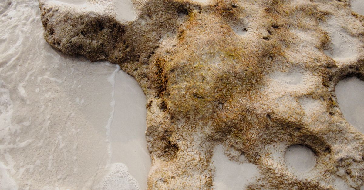 découvrez naturalanchors, votre solution naturelle et efficace pour une fixation solide et durable. alliez performance et respect de l'environnement avec nos ancrages innovants.