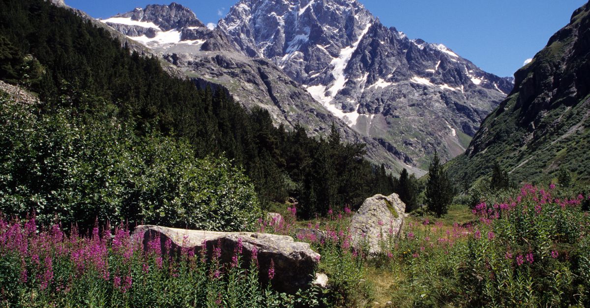 explorez le parc national des écrins : sommets majestueux, glaciers, randonnées et faune sauvage au cœur des alpes françaises.