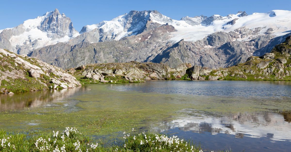 explorez le parc national des écrins : sommets alpins, glaciers, randonnées et nature préservée au cœur des alpes françaises.