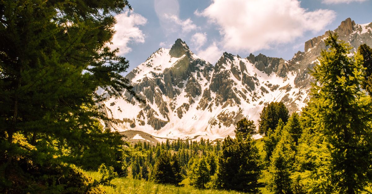 découvrez le parc national des écrins, un écrin de nature dans les alpes : sommets majestueux, glaciers, faune sauvage et sentiers de randonnée.