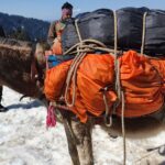 préparez votre expédition hivernale avec des conseils essentiels sur l’équipement, les vêtements, la sécurité et la planification de votre itinéraire.